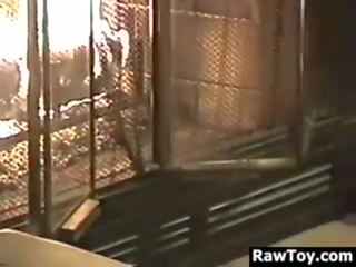 Це білявка має a багато з marriageable іграшки