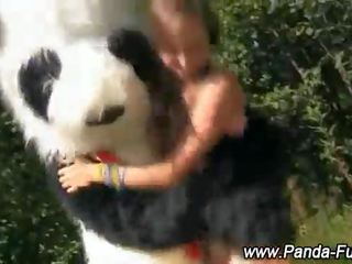 物神 青少年 得到 離 同 玩具 panda