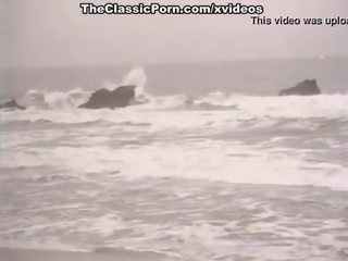 硬 葡萄收获期 脏 视频 上 一 海滩