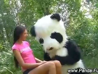 আবেশ বালিকা পায় এটা উপর সঙ্গে খেলনা panda