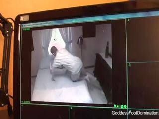 মোজা surveillance