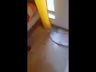 Vadia 다 o cu e 부 에타 파라 o amigo enquanto sua irmã£ filma