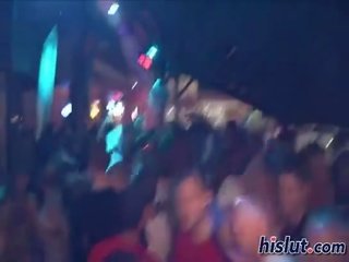 Këto sluts janë sensational