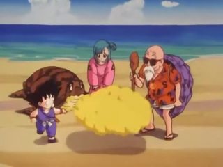 Bulma 符合 该 intern roshi 和 西元 她的 的阴户