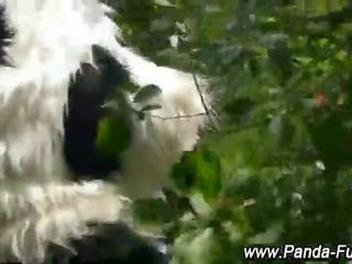 আবেশ লাল বাইক চালানো ফণা এবং plush panda