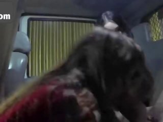 Groovy babes bribe a bad tow truck driver with their cunts