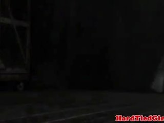 Кошеня грати в зв’язування mittens пов'язаний вниз