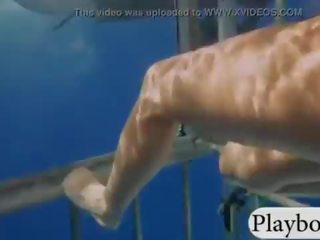 Привабливий чортихи swam з shark в в клітка і snowboarding