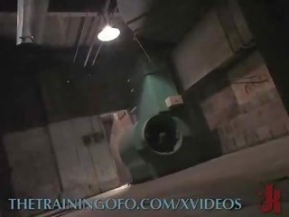 Kirli gul is trained to keep cumming